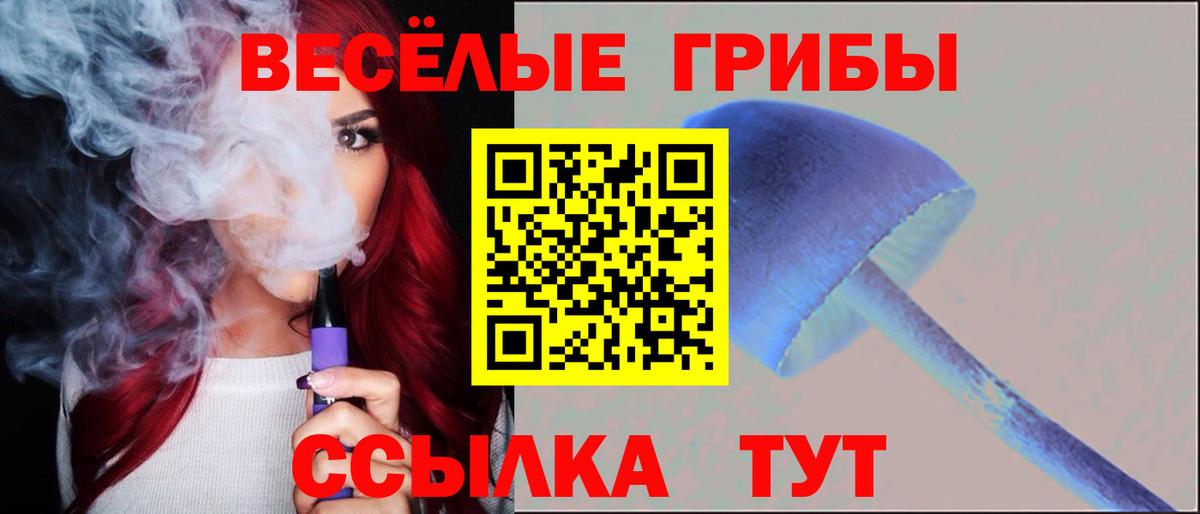 Карпинск  Галлюциногенные грибы Cubensis  Вход с VPN 